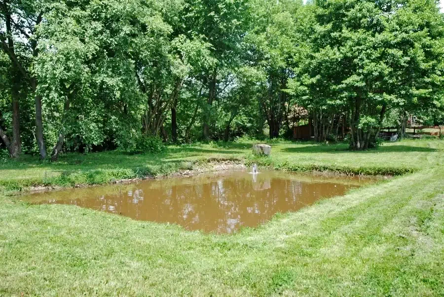 Izvoare Cazare | Sat de vacanță (K0400-26) Imaginea poate fi supusă drepturilor de autor. Se recomandă contactarea titularului drepturilor.