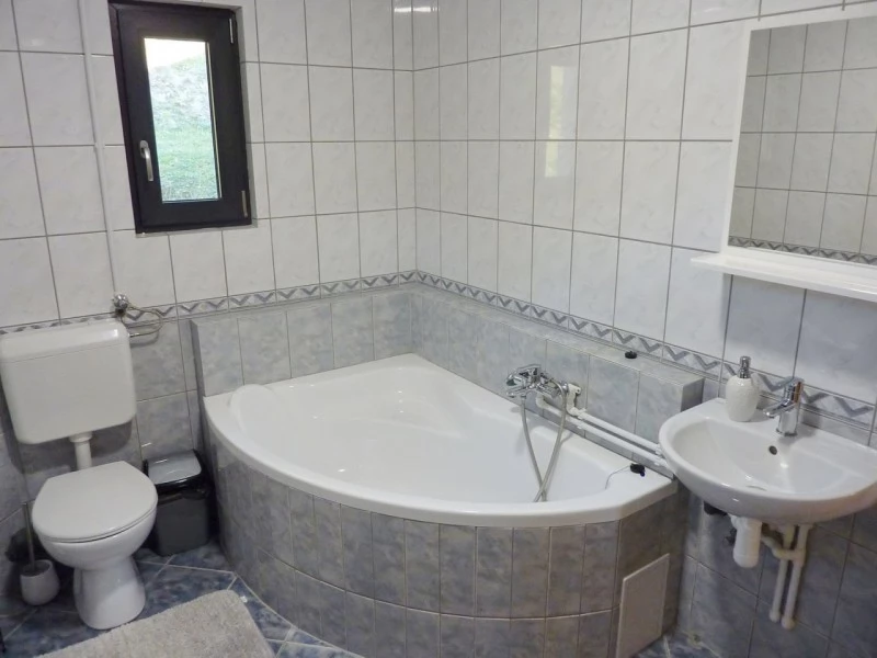 Barajul Zetea Cazare | Sat de vacanță (K0564-36) Imaginea poate fi supusă drepturilor de autor. Se recomandă contactarea titularului drepturilor.