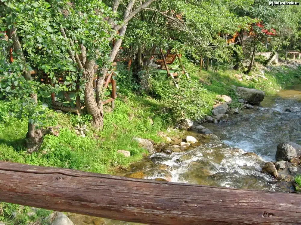 Șugag Cazare | Sat de vacanță (K1364-6) Imaginea poate fi supusă drepturilor de autor. Se recomandă contactarea titularului drepturilor.