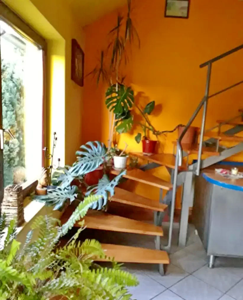 Aiud Cazare | Hostel (K1150-3) Imaginea poate fi supusă drepturilor de autor. Se recomandă contactarea titularului drepturilor.