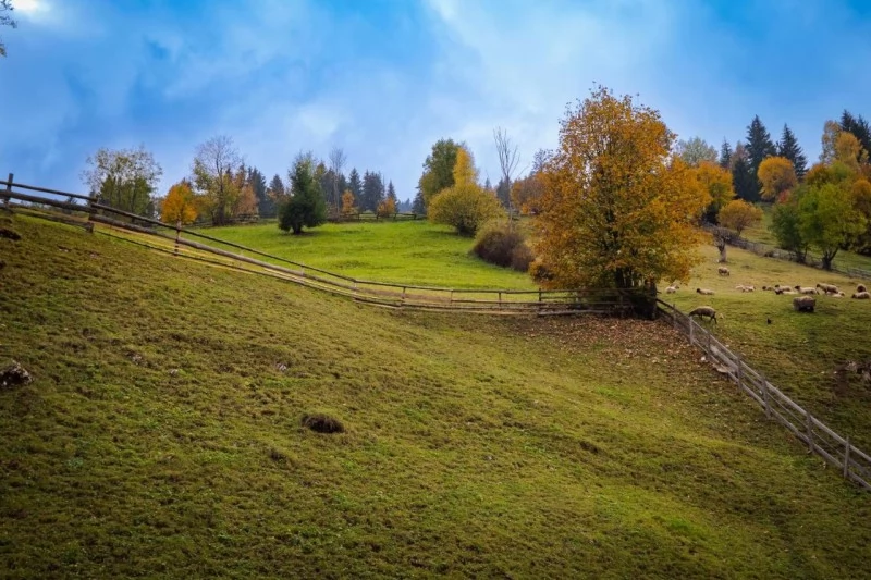 Felsőmoécs Szállás | Panzió (K1232-13) A kép szerzői jogvédelem alatt állhat. Javasolt a kapcsolatfelvétel a jog tulajdonossal. Felsőmoécs Szállás | Panzió (K1232-13) A kép szerzői jogvédelem alatt állhat. Javasolt a kapcsolatfelvétel a jog tulajdonossal.