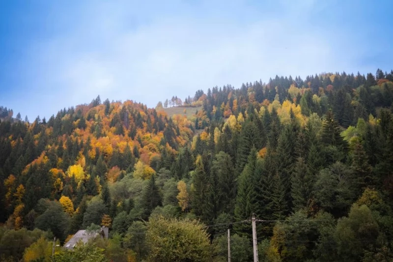 Moieciu de Sus Cazare | Motel (K1232-29) Imaginea poate fi supusă drepturilor de autor. Se recomandă contactarea titularului drepturilor.