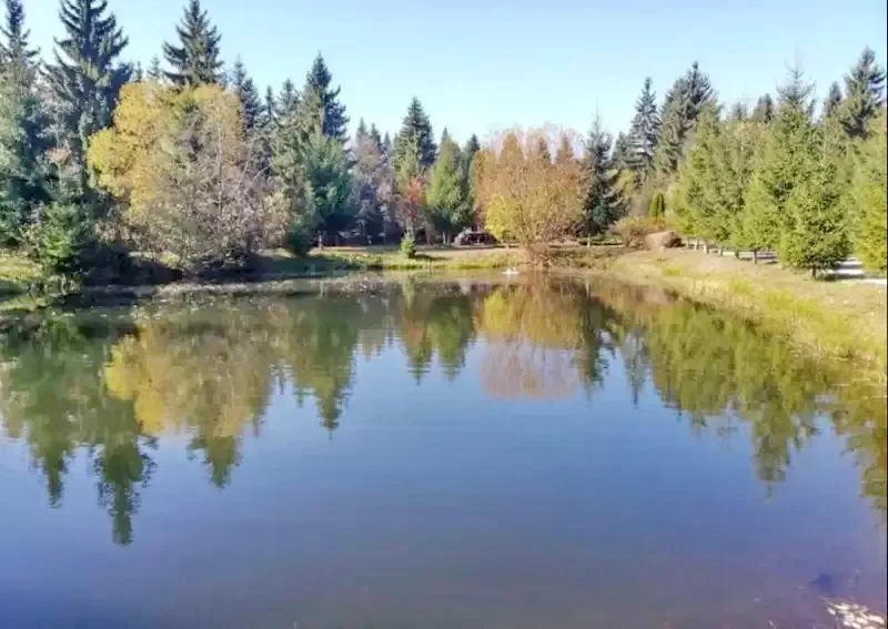 Borzont Szállás | Panzió (K1373-28) A kép szerzői jogvédelem alatt állhat. Javasolt a kapcsolatfelvétel a jog tulajdonossal. Borzont Szállás | Panzió (K1373-28) A kép szerzői jogvédelem alatt állhat. Javasolt a kapcsolatfelvétel a jog tulajdonossal.