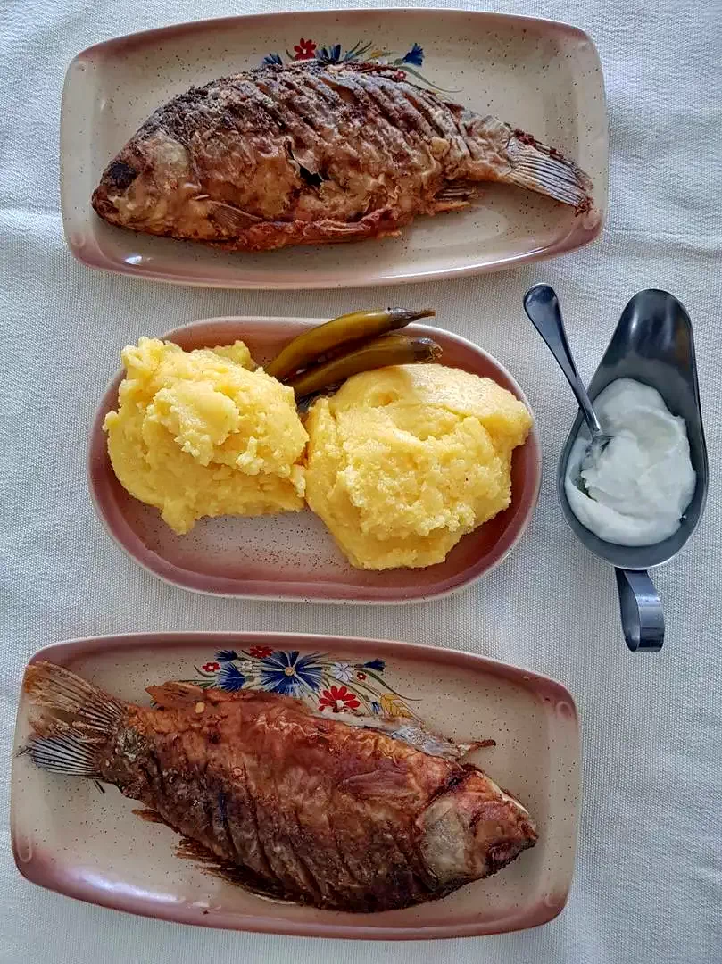 Crișan Szállás | Motel (K1330-19) A kép szerzői jogvédelem alatt állhat. Javasolt a kapcsolatfelvétel a jog tulajdonossal.