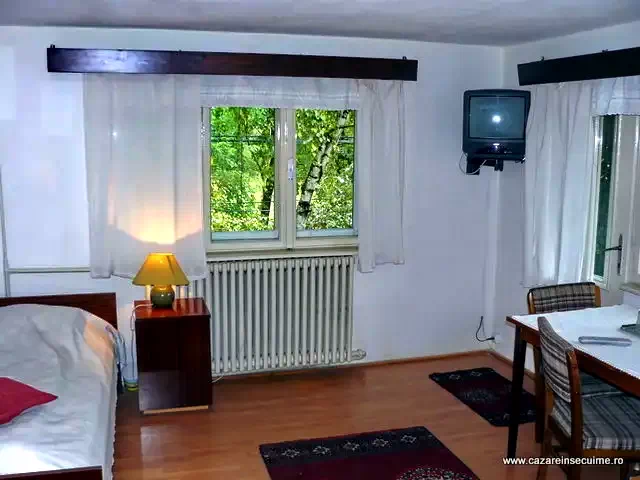 Arcuș Cazare | Hotel**** (K0443-2) Imaginea poate fi supusă drepturilor de autor. Se recomandă contactarea titularului drepturilor.