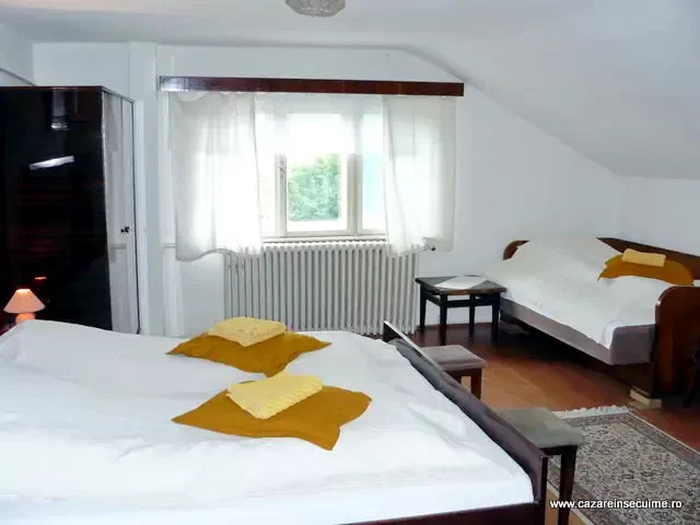 Arcuș Cazare | Hotel**** (K0443-3) Imaginea poate fi supusă drepturilor de autor. Se recomandă contactarea titularului drepturilor.