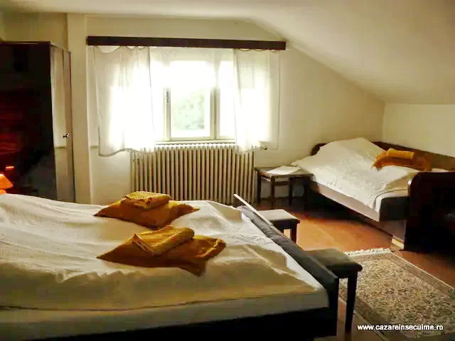 Arcuș Cazare | Hotel**** (K0443-5) Imaginea poate fi supusă drepturilor de autor. Se recomandă contactarea titularului drepturilor.