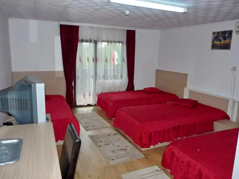 Săcălășeni Cazare | Hotel*** (K1062-13) Imaginea poate fi supusă drepturilor de autor. Se recomandă contactarea titularului drepturilor.