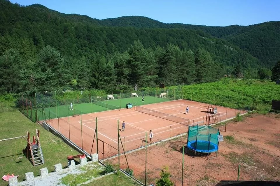 Lesu Tó Szállás | Motel (K0650-53) A kép szerzői jogvédelem alatt állhat. Javasolt a kapcsolatfelvétel a jog tulajdonossal.