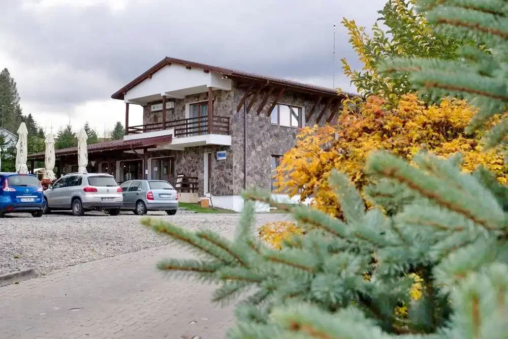 Maroshévíz Szállás | Motel (K1224-98) A kép szerzői jogvédelem alatt állhat. Javasolt a kapcsolatfelvétel a jog tulajdonossal.