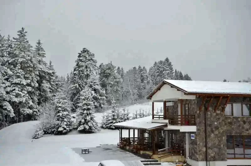 Toplița Cazare | Motel (K1224-101) Imaginea poate fi supusă drepturilor de autor. Se recomandă contactarea titularului drepturilor.