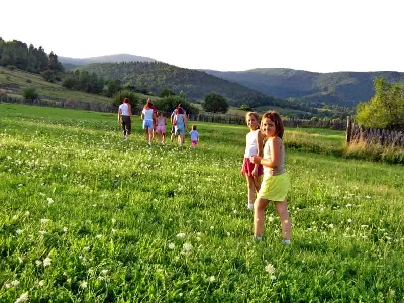 Kurtapatak Szállás | Motel (K0379-17) A kép szerzői jogvédelem alatt állhat. Javasolt a kapcsolatfelvétel a jog tulajdonossal.