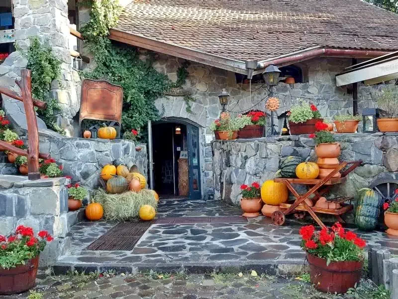 Băile Tușnad Cazare | Pensiune turistică (K1156-6) Imaginea poate fi supusă drepturilor de autor. Se recomandă contactarea titularului drepturilor.