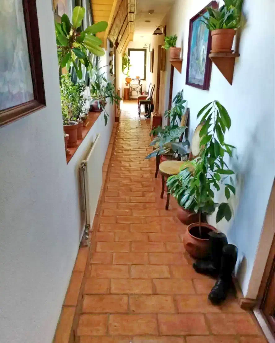 Băile Tușnad Cazare | Hotel*** (K1156-35) Imaginea poate fi supusă drepturilor de autor. Se recomandă contactarea titularului drepturilor.