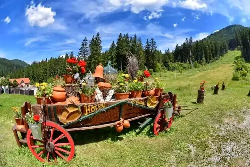 Băile Tușnad Cazare | Pensiune turistică (K1156-38) Imaginea poate fi supusă drepturilor de autor. Se recomandă contactarea titularului drepturilor.