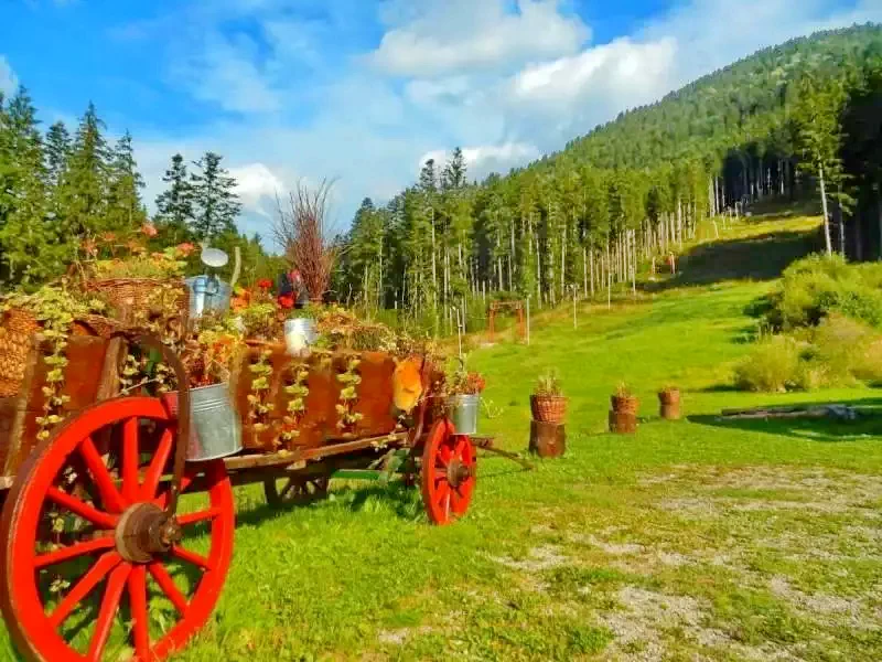 Băile Tușnad Cazare | Hotel*** (K1156-39) Imaginea poate fi supusă drepturilor de autor. Se recomandă contactarea titularului drepturilor.