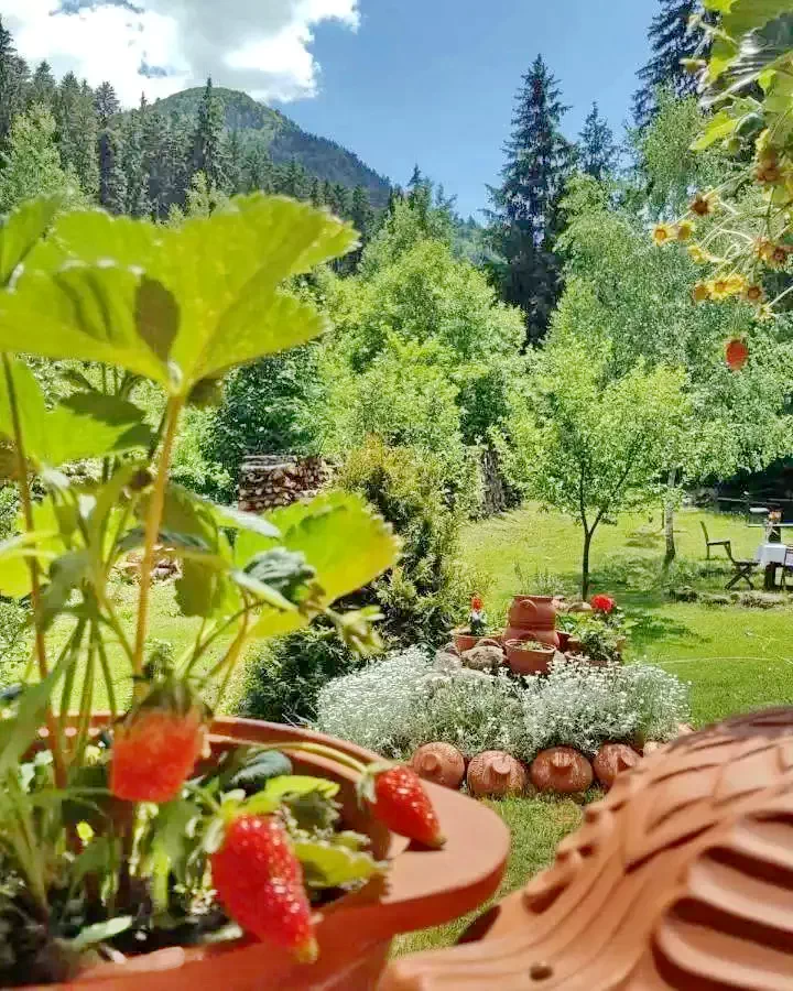 Băile Tușnad Cazare | Pensiune turistică (K1156-40) Imaginea poate fi supusă drepturilor de autor. Se recomandă contactarea titularului drepturilor.