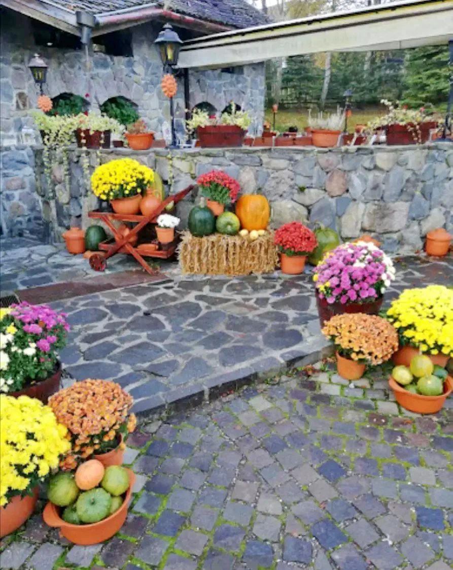 Băile Tușnad Cazare | Pensiune turistică (K1156-45) Imaginea poate fi supusă drepturilor de autor. Se recomandă contactarea titularului drepturilor.