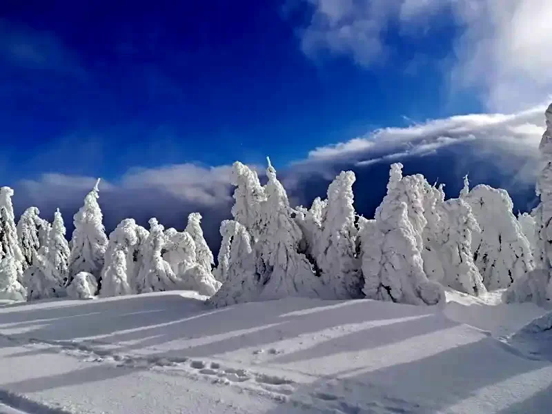 Hargitafürdő Szállás | Üdülőfalu (K1380-17) A kép szerzői jogvédelem alatt állhat. Javasolt a kapcsolatfelvétel a jog tulajdonossal.