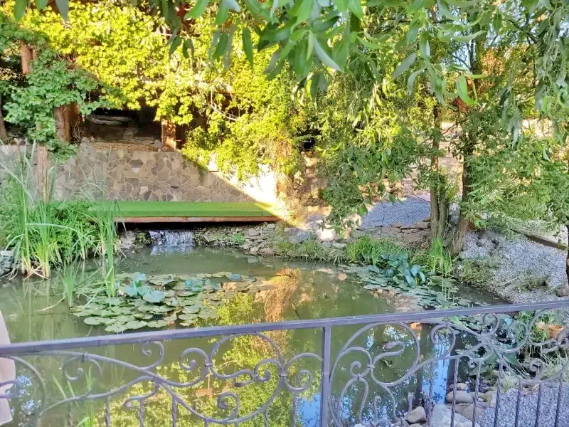 Parajd Szállás | Panzió (K0183-35) A kép szerzői jogvédelem alatt állhat. Javasolt a kapcsolatfelvétel a jog tulajdonossal.