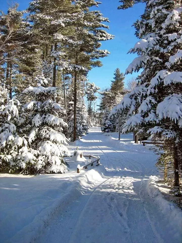 Kiskalota Szállás | Vendégház (K0536-27) A kép szerzői jogvédelem alatt állhat. Javasolt a kapcsolatfelvétel a jog tulajdonossal. Kiskalota Szállás | Vendégház (K0536-27) A kép szerzői jogvédelem alatt állhat. Javasolt a kapcsolatfelvétel a jog tulajdonossal.