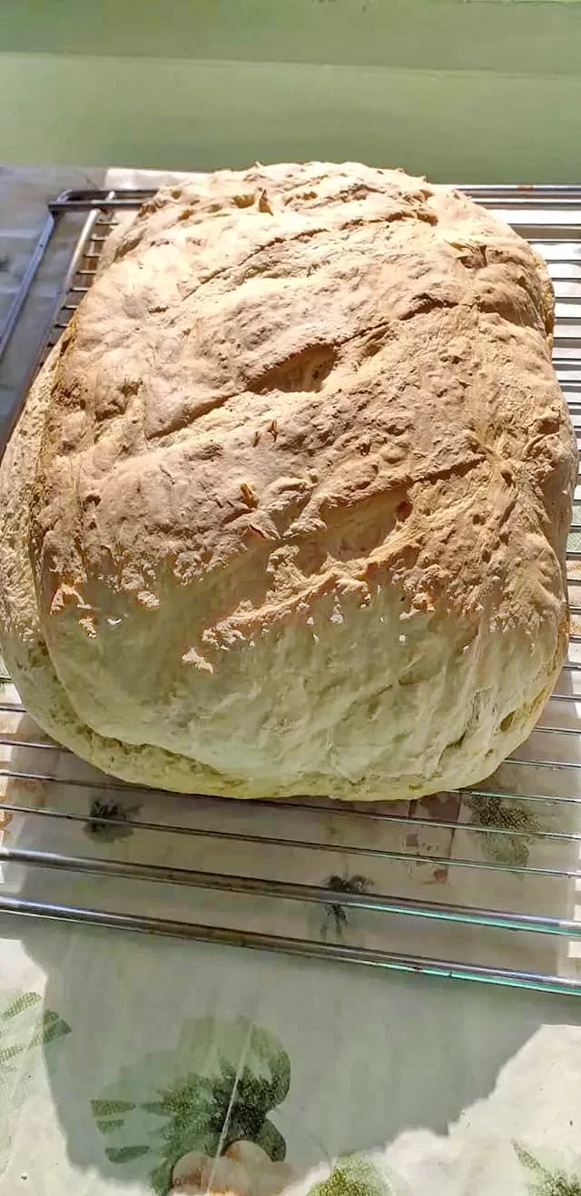 Kiskalota Szállás | Vendégház (K0536-31) A kép szerzői jogvédelem alatt állhat. Javasolt a kapcsolatfelvétel a jog tulajdonossal. Kiskalota Szállás | Vendégház (K0536-31) A kép szerzői jogvédelem alatt állhat. Javasolt a kapcsolatfelvétel a jog tulajdonossal.