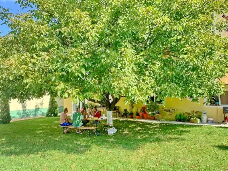 Szállás Arad - Pensiune Panorama** | Arad - Panorama Panzió**. A kép szerzői jogvédelem alatt állhat. Javasolt a kapcsolatfelvétel a jog tulajdonossal.