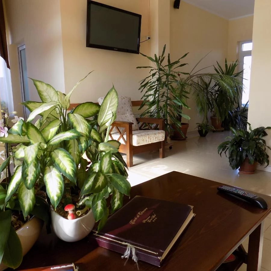 Sânmartin Cazare | Pensiune (K0702-51) Imaginea poate fi supusă drepturilor de autor. Se recomandă contactarea titularului drepturilor. Sânmartin Cazare | Pensiune (K0702-51) Imaginea poate fi supusă drepturilor de autor. Se recomandă contactarea titularului drepturilor.