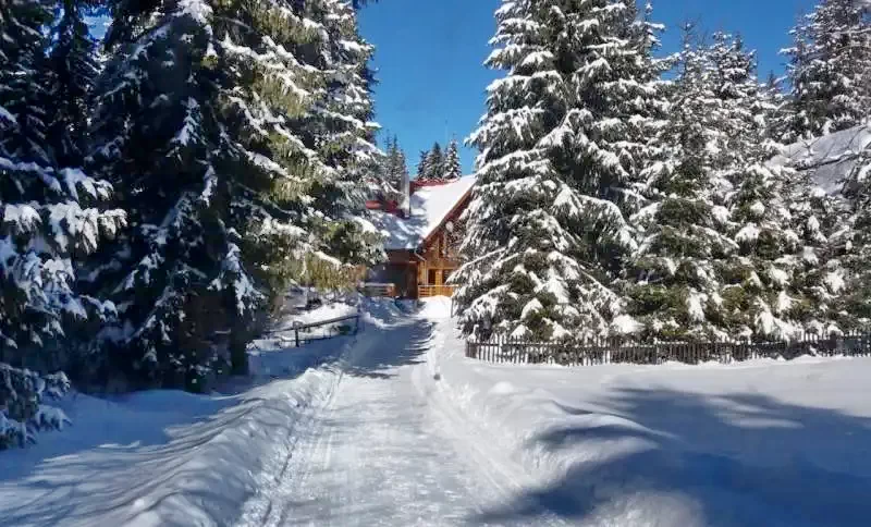 Csíkszentimre Szállás | Motel (K1134-12) A kép szerzői jogvédelem alatt állhat. Javasolt a kapcsolatfelvétel a jog tulajdonossal.