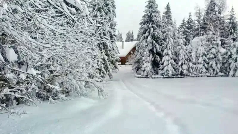 Csíkszentimre Szállás | Motel (K1134-37) A kép szerzői jogvédelem alatt állhat. Javasolt a kapcsolatfelvétel a jog tulajdonossal.