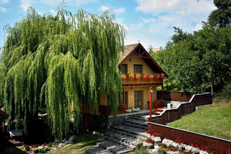 Zetea Cazare | Motel (K0498-16) Imaginea poate fi supusă drepturilor de autor. Se recomandă contactarea titularului drepturilor.