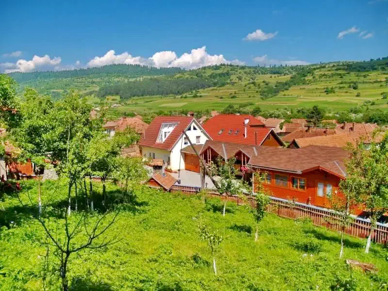 Zetelaka Szállás | Motel (K0498-31) A kép szerzői jogvédelem alatt állhat. Javasolt a kapcsolatfelvétel a jog tulajdonossal.