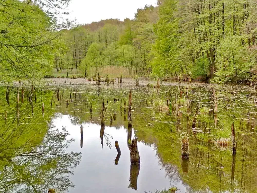 Lacu Roșu Cazare | Motel (K1034-14) Imaginea poate fi supusă drepturilor de autor. Se recomandă contactarea titularului drepturilor.