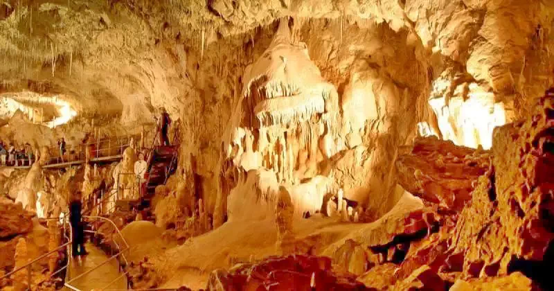 Medve-barlang Medve-barlang