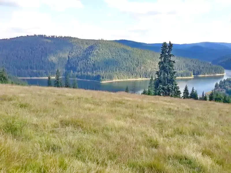 Beliș Cazare | Pensiune (K1011-27) Imaginea poate fi supusă drepturilor de autor. Se recomandă contactarea titularului drepturilor. Beliș Cazare | Pensiune (K1011-27) Imaginea poate fi supusă drepturilor de autor. Se recomandă contactarea titularului drepturilor.