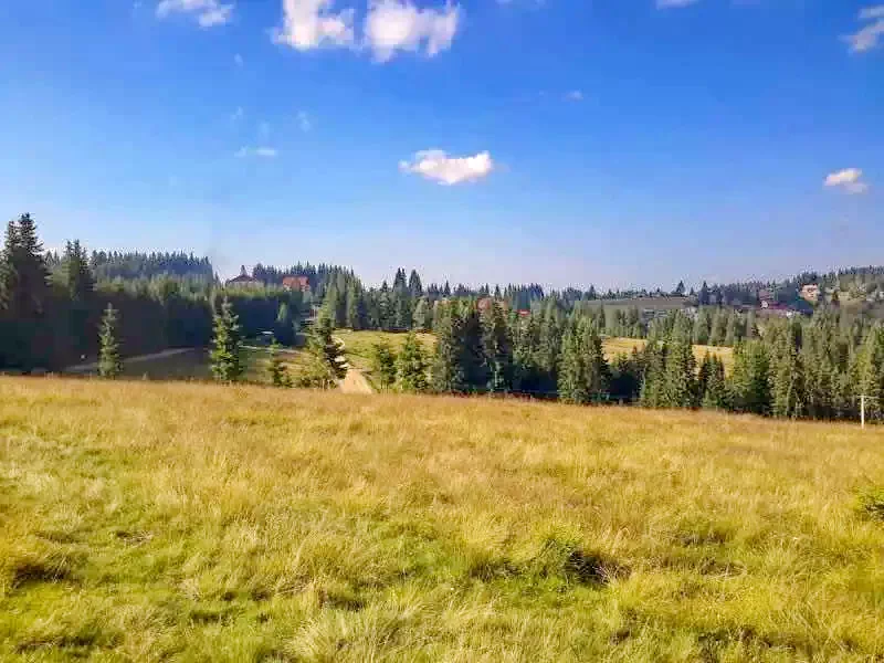 Jósikafalva Szállás | Motel (K1011-34) A kép szerzői jogvédelem alatt állhat. Javasolt a kapcsolatfelvétel a jog tulajdonossal.