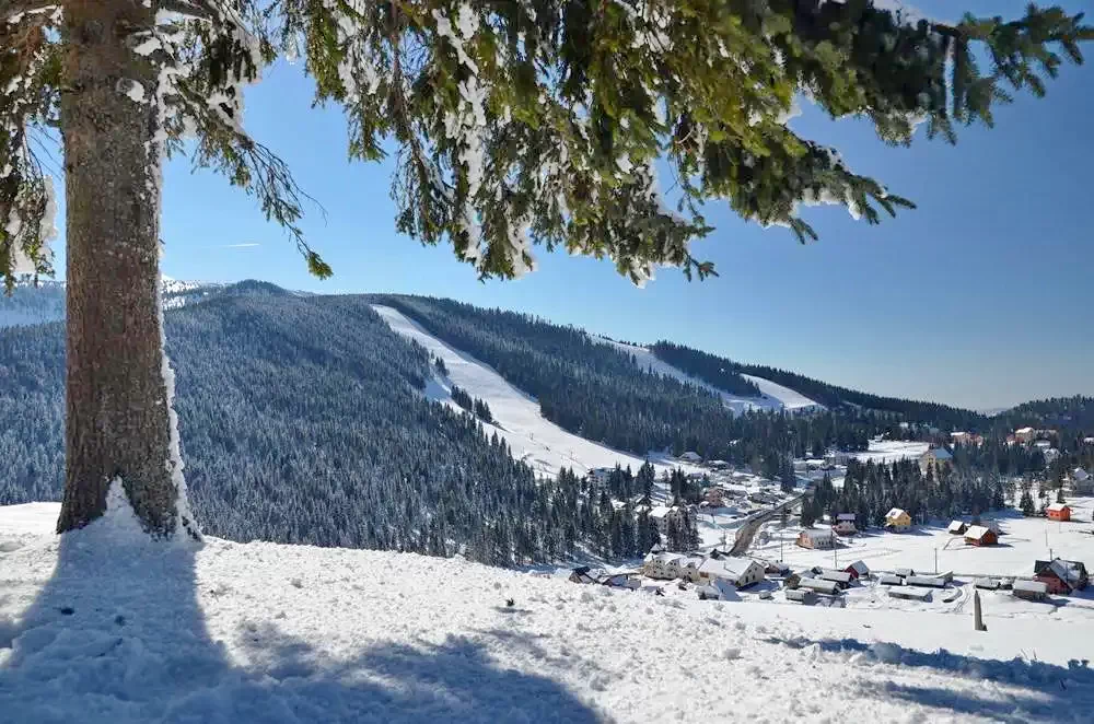 Partie Vartop Arieseni Partie Vartop Arieseni