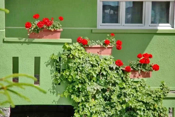 Szentegyháza Szállás | Motel (K1141-6) A kép szerzői jogvédelem alatt állhat. Javasolt a kapcsolatfelvétel a jog tulajdonossal.