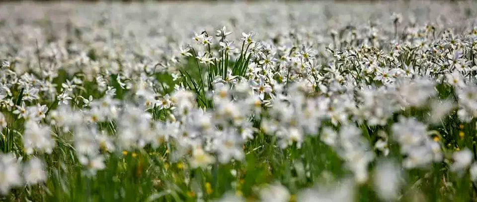 Szentegyháza Szállás | Motel (K1141-37) A kép szerzői jogvédelem alatt állhat. Javasolt a kapcsolatfelvétel a jog tulajdonossal.