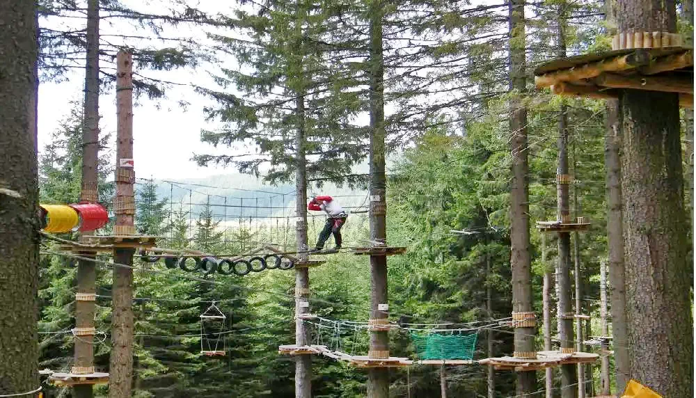 Szentegyháza Szállás | Motel (K1141-39) A kép szerzői jogvédelem alatt állhat. Javasolt a kapcsolatfelvétel a jog tulajdonossal.