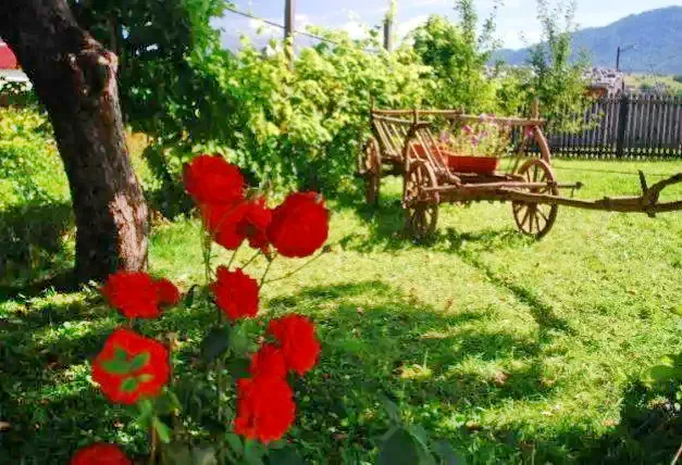 Zărnești Cazare | Motel (K1119-28) Imaginea poate fi supusă drepturilor de autor. Se recomandă contactarea titularului drepturilor.