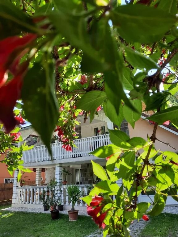 Cazare Sovata - Vila Ibis** | Szováta - Ibis Villa** . Imaginea poate fi supusă drepturilor de autor. Se recomandă contactarea titularului drepturilor.