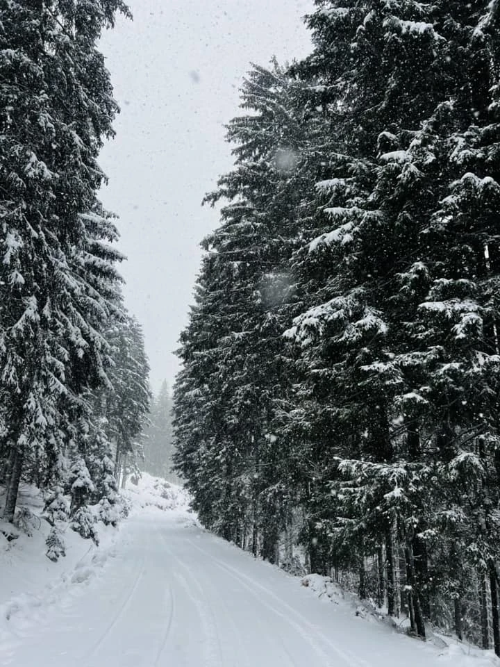 Madarasi Hargita Szállás | Üdülőfalu (K0479-23) A kép szerzői jogvédelem alatt állhat. Javasolt a kapcsolatfelvétel a jog tulajdonossal.