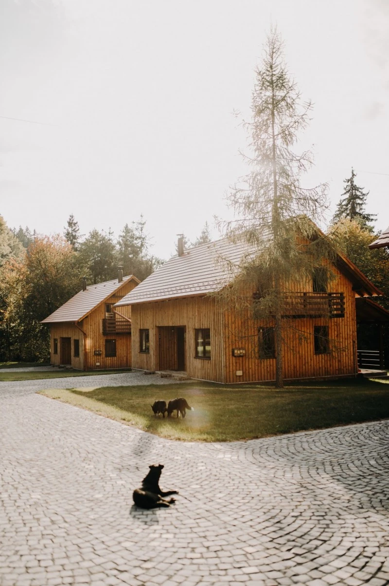 Harghita Madaras Cazare | Cabană (K0479-26) Imaginea poate fi supusă drepturilor de autor. Se recomandă contactarea titularului drepturilor. Harghita Madaras Cazare | Cabană (K0479-26) Imaginea poate fi supusă drepturilor de autor. Se recomandă contactarea titularului drepturilor.