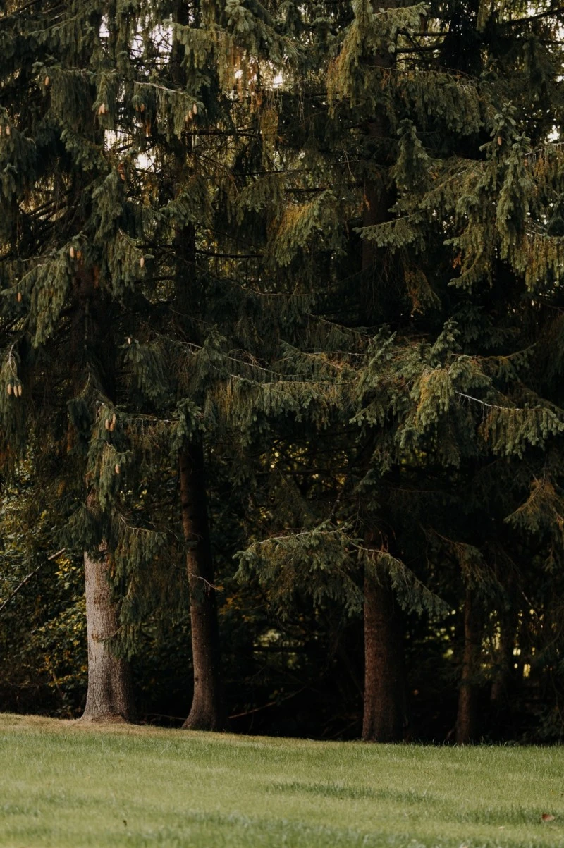 Madarasi Hargita Szállás | Üdülőfalu (K0479-30) A kép szerzői jogvédelem alatt állhat. Javasolt a kapcsolatfelvétel a jog tulajdonossal.