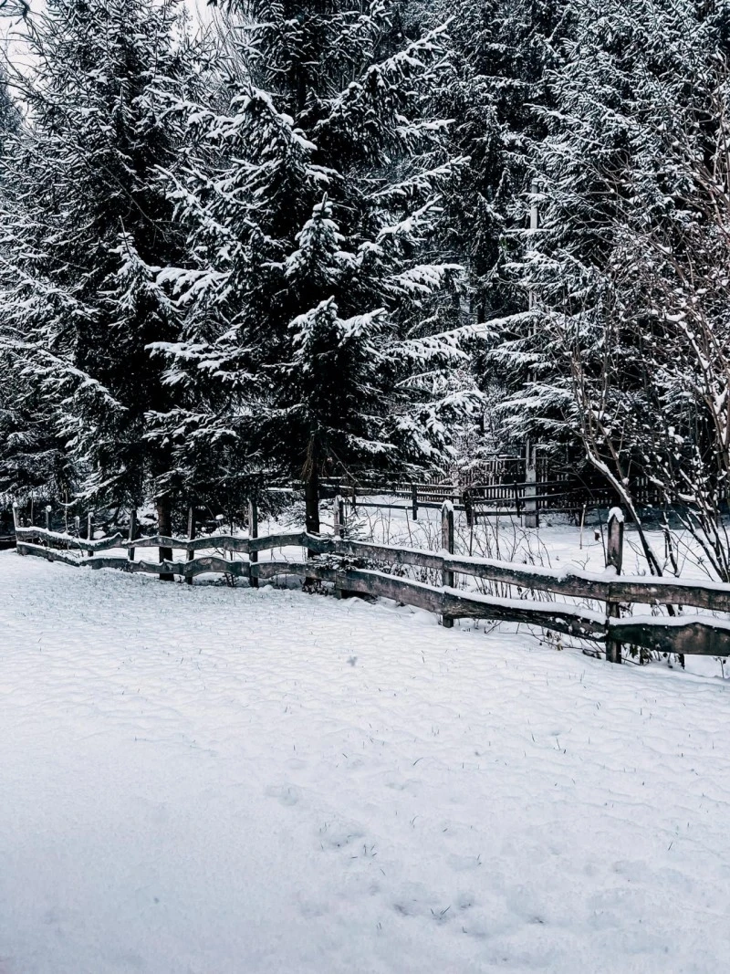 Madarasi Hargita Szállás | Üdülőfalu (K0479-33) A kép szerzői jogvédelem alatt állhat. Javasolt a kapcsolatfelvétel a jog tulajdonossal.
