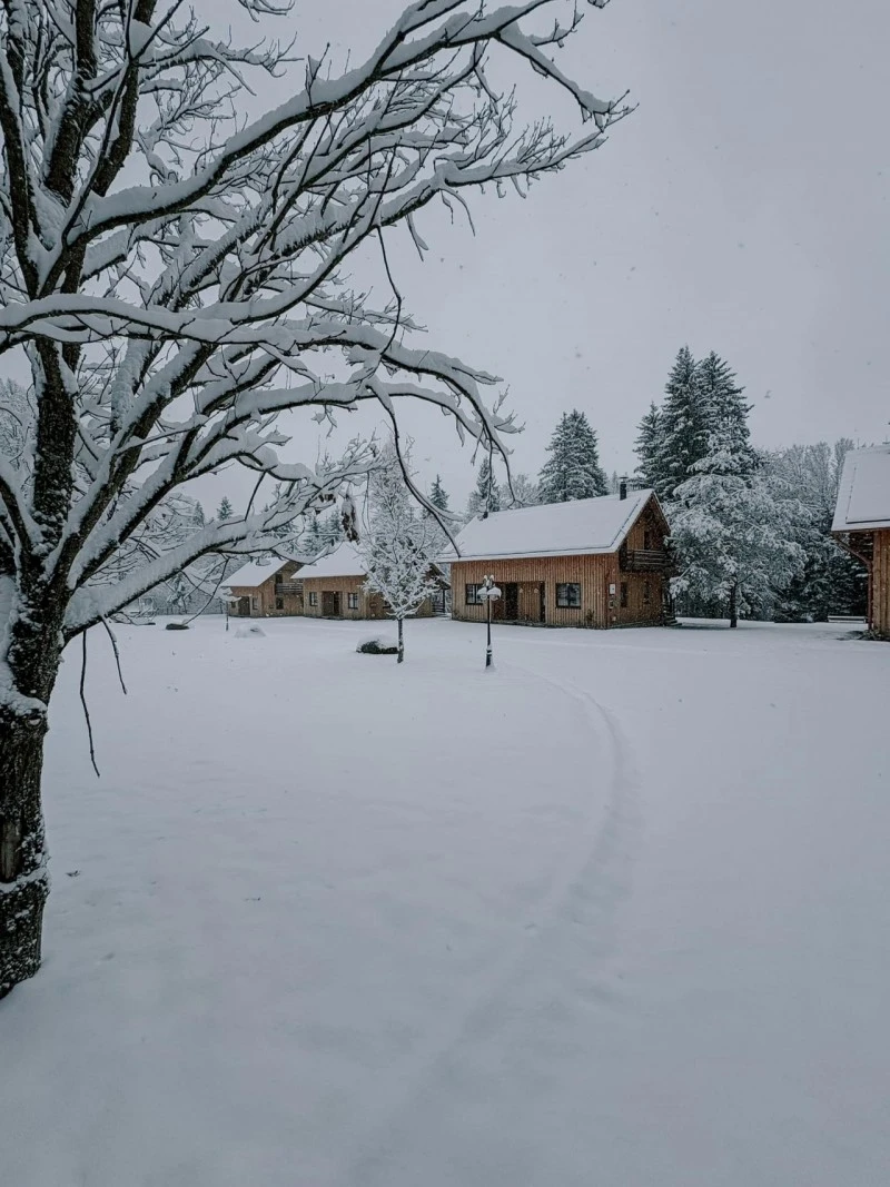 Harghita Madaras Cazare | Sat de vacanță (K0479-45) Imaginea poate fi supusă drepturilor de autor. Se recomandă contactarea titularului drepturilor.