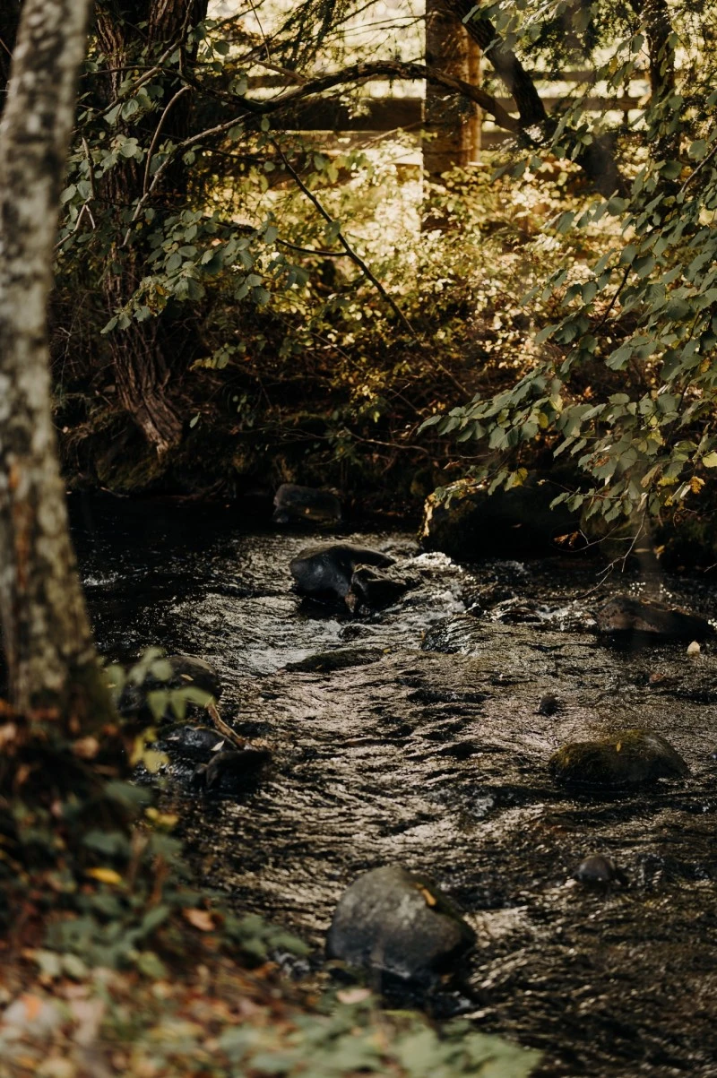 Harghita Madaras Cazare | Cabană (K0479-90) Imaginea poate fi supusă drepturilor de autor. Se recomandă contactarea titularului drepturilor. Harghita Madaras Cazare | Cabană (K0479-90) Imaginea poate fi supusă drepturilor de autor. Se recomandă contactarea titularului drepturilor.