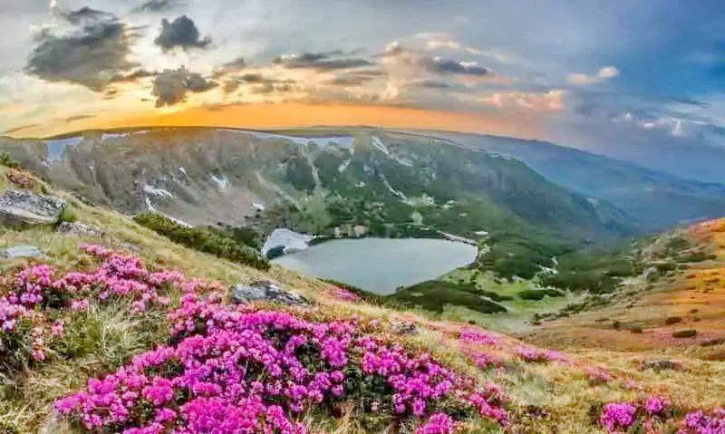 Guraró Szállás | Motel (K0657-56) A kép szerzői jogvédelem alatt állhat. Javasolt a kapcsolatfelvétel a jog tulajdonossal.