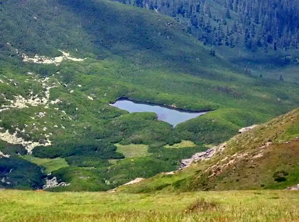 Guraró Szállás | Motel (K0657-58) A kép szerzői jogvédelem alatt állhat. Javasolt a kapcsolatfelvétel a jog tulajdonossal.